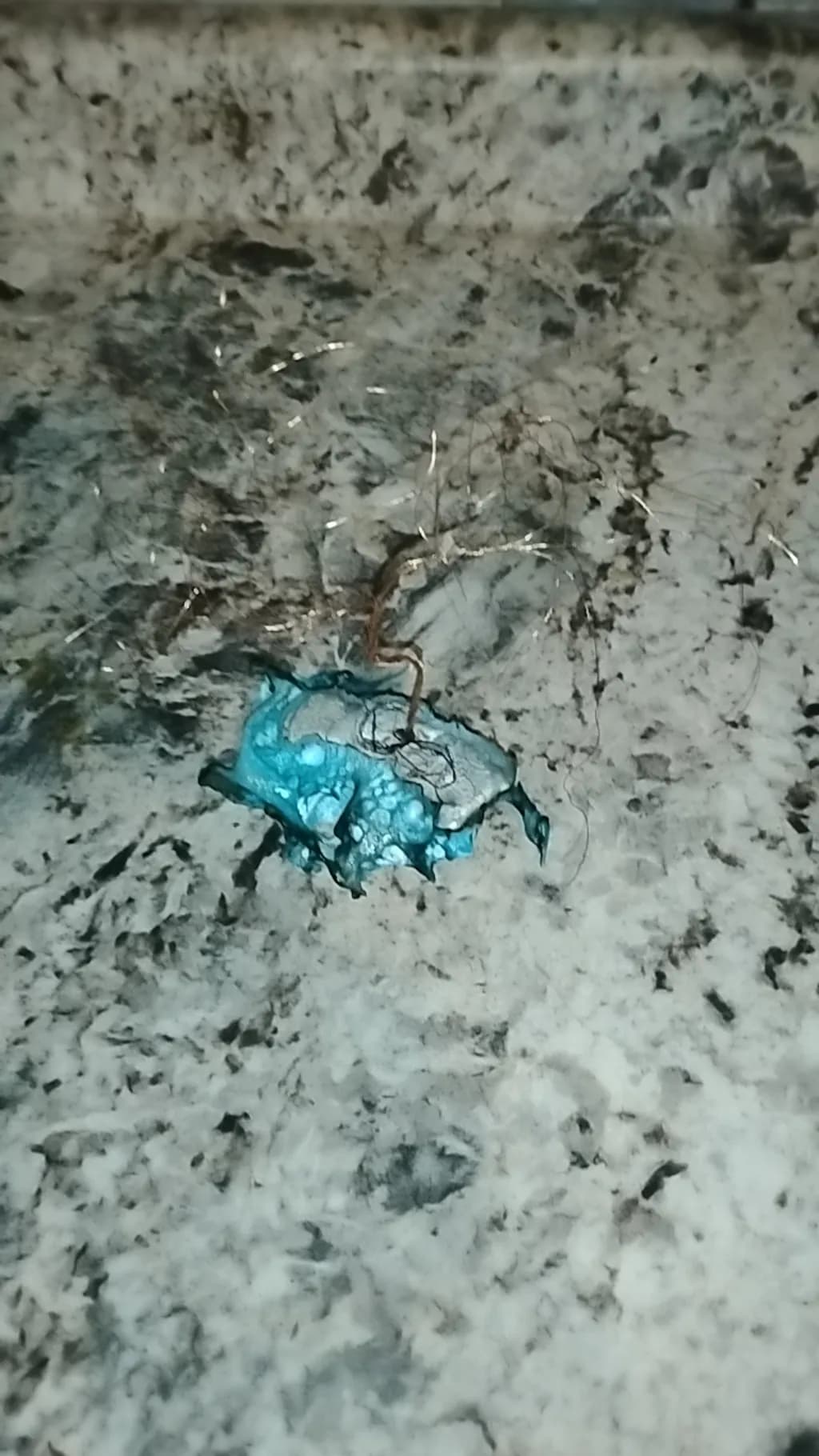 Blue Blob Mystery