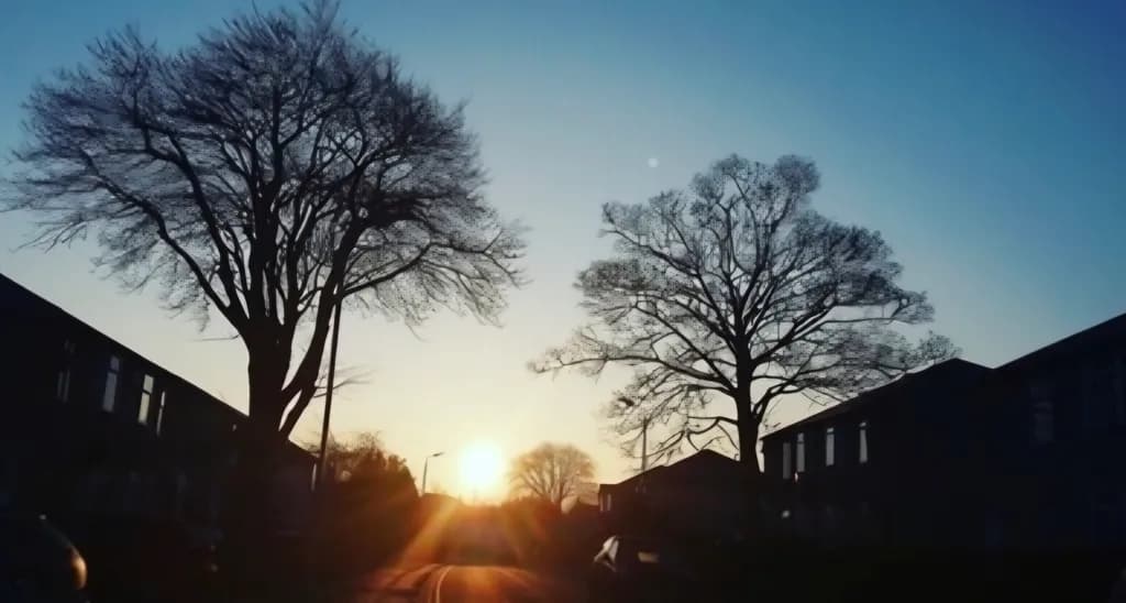 Evening Glow