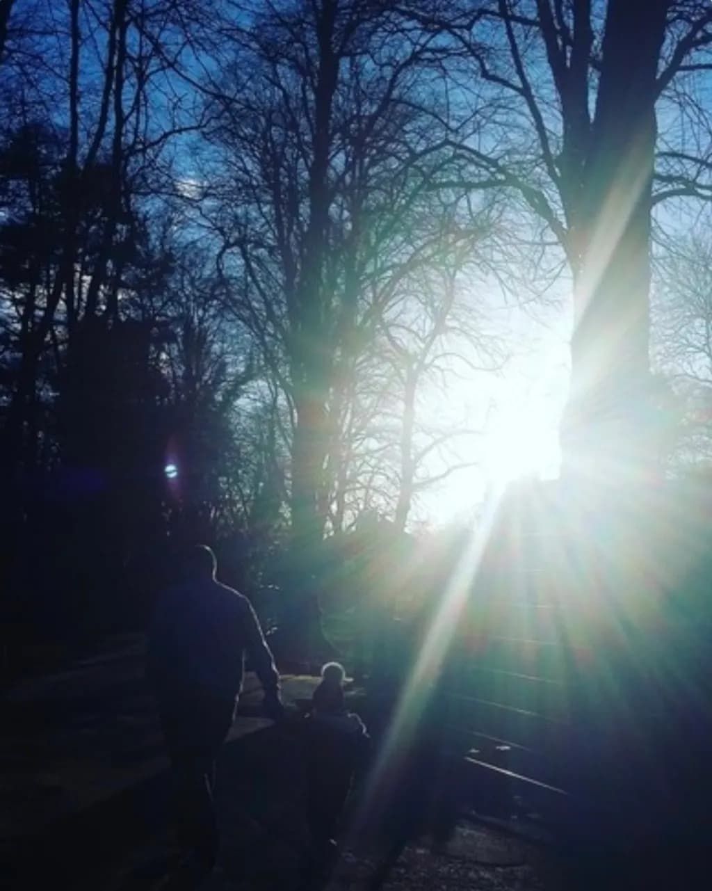 Walking into Light