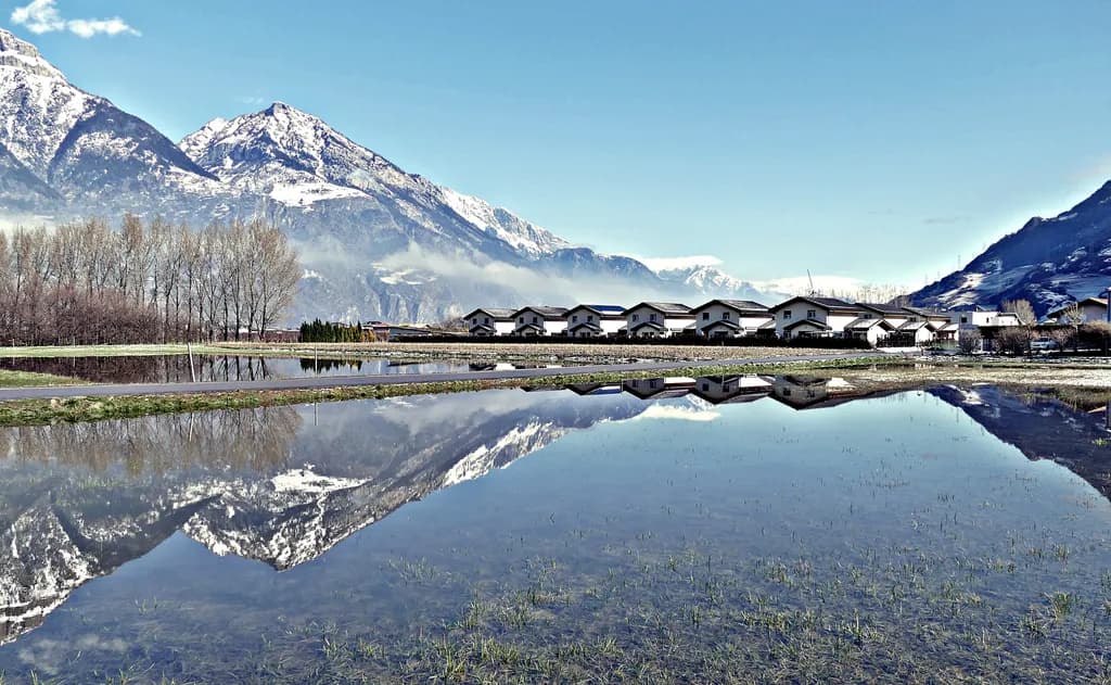 Alpine Reflection