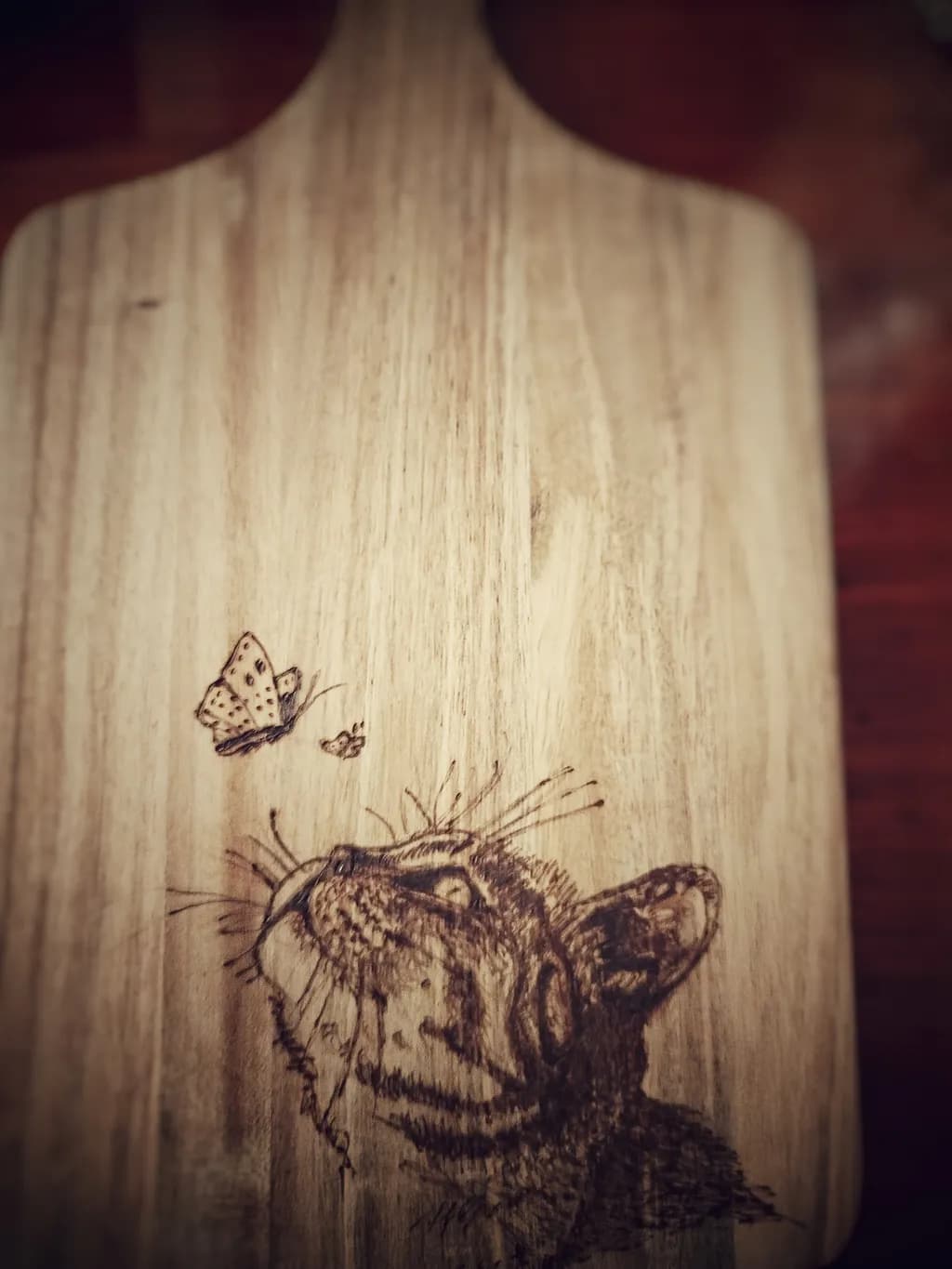 Curious Encounter