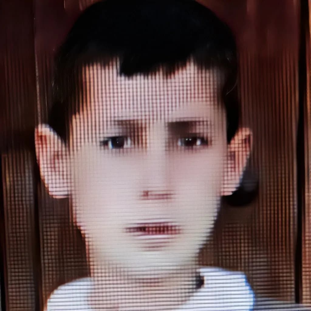 Pixelated Gaze
