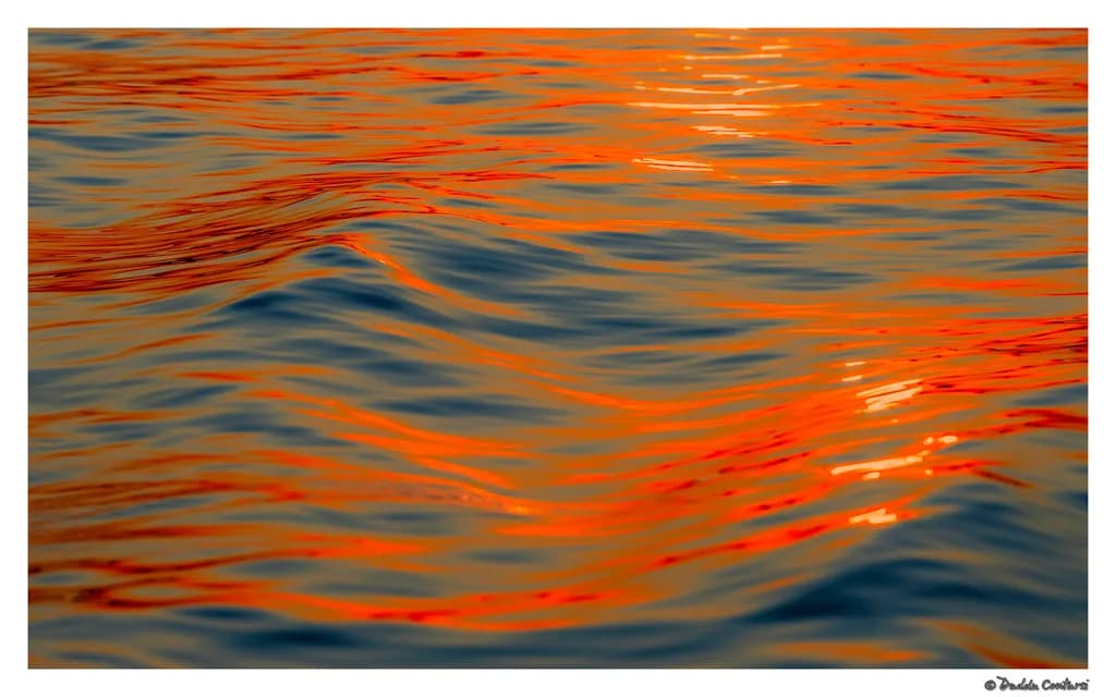 Crimson Currents