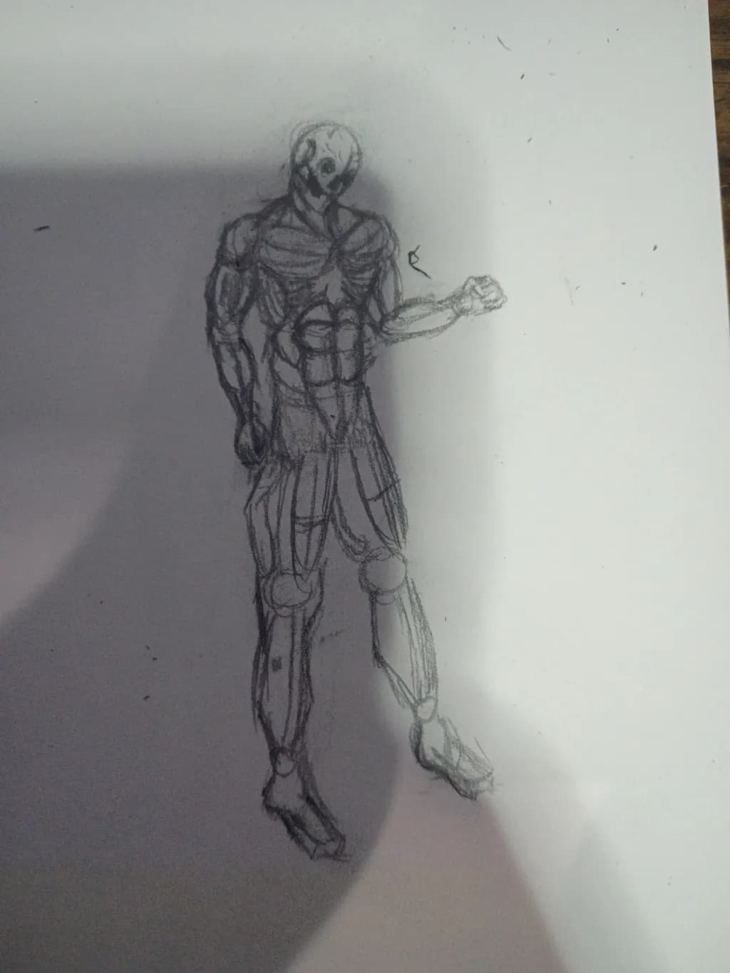 Anatomical Study