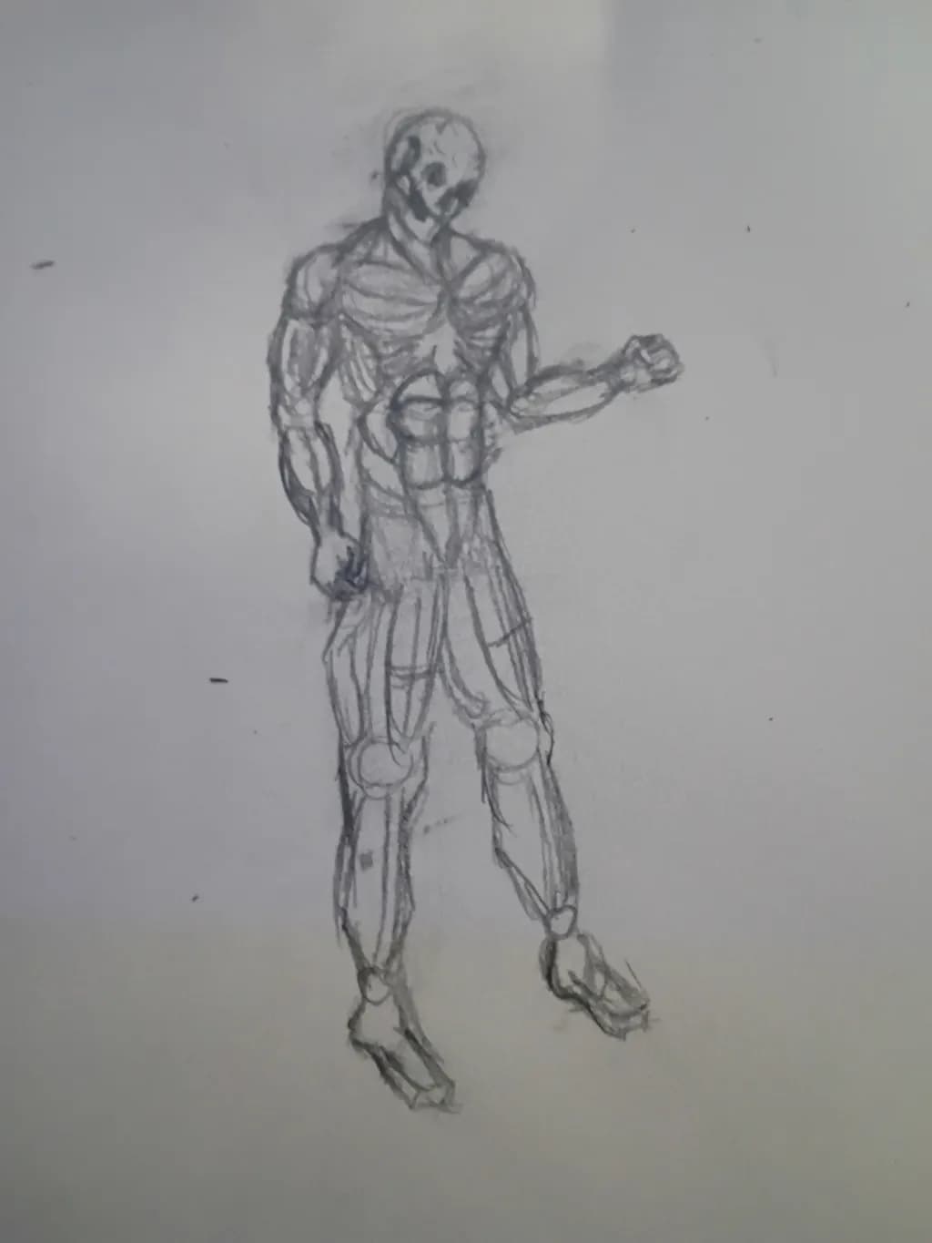 Anatomical Study