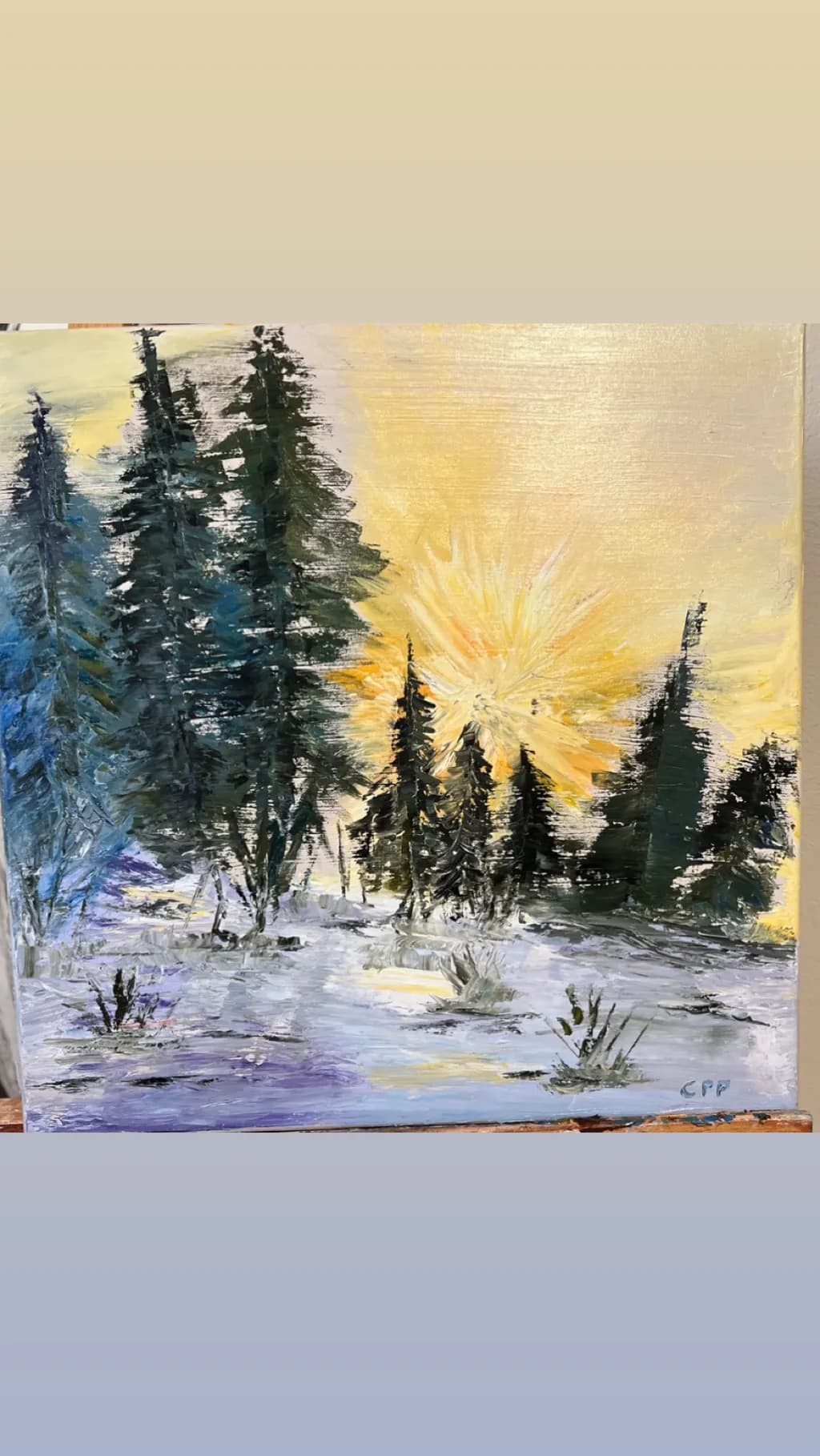 Winter Sunrise Pines