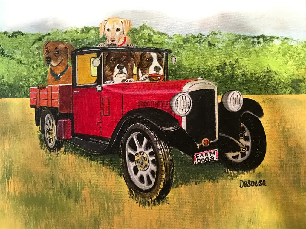 Farm Dogs on the Move