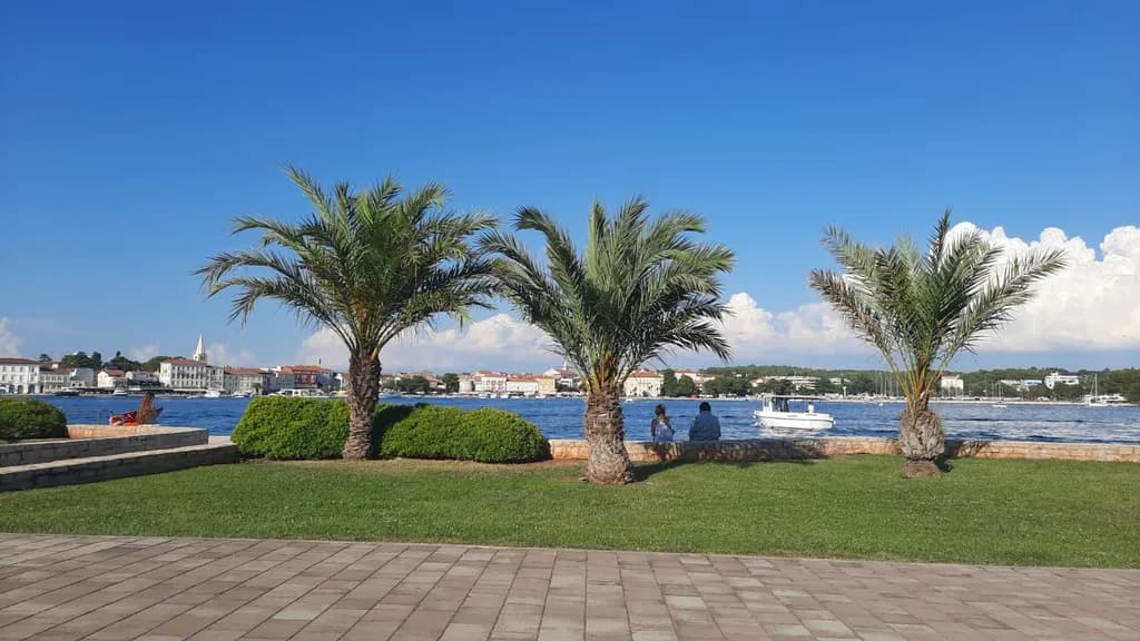 Coastal Palm Trio