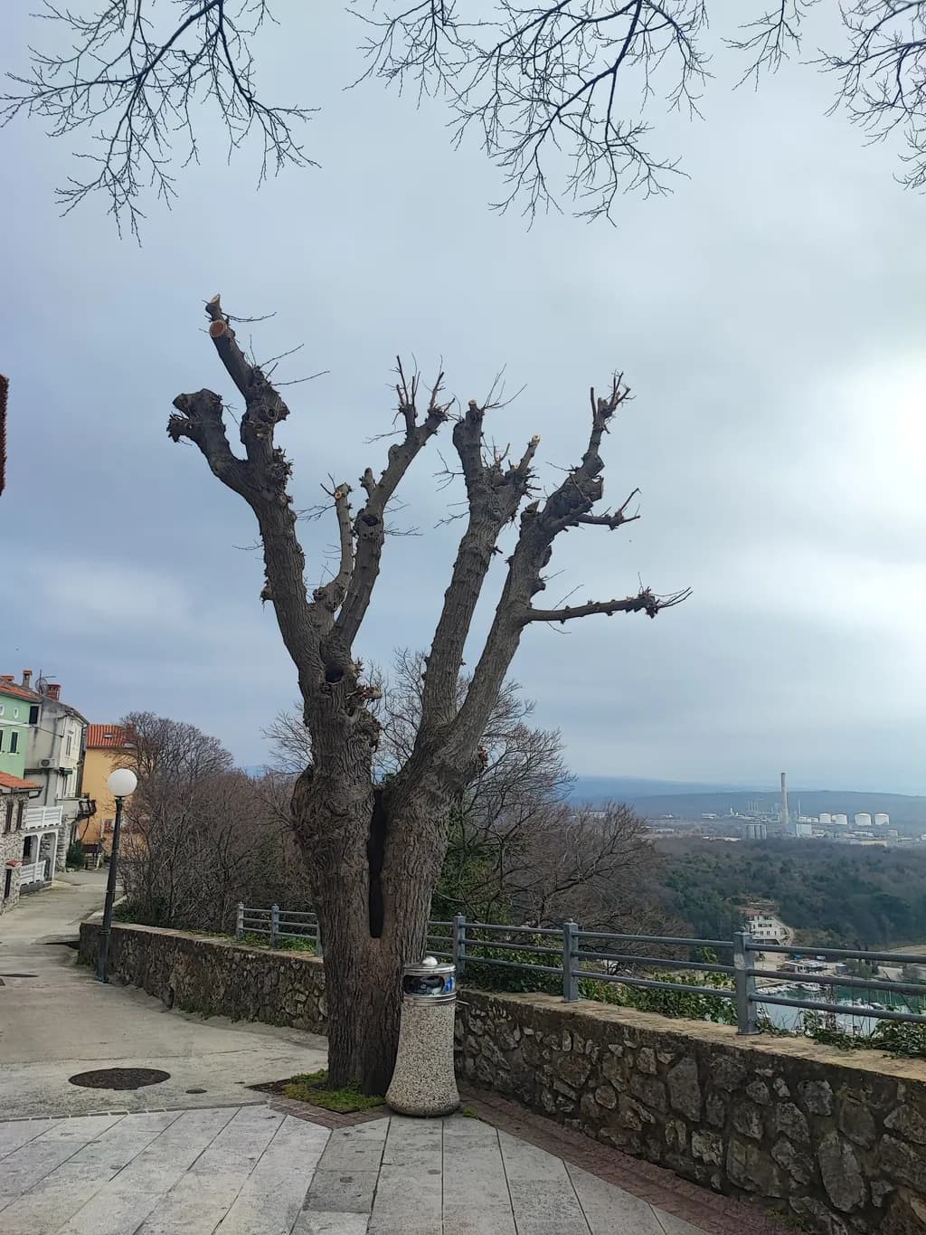 Pruned Sentinel