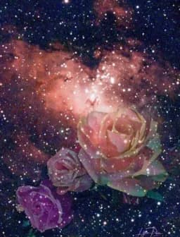 Cosmic Rose Garden