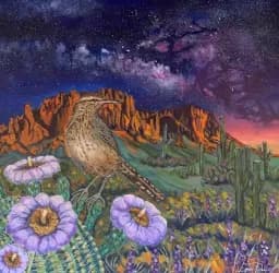 Quail Beneath the Desert Stars