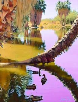 Palm Reflection Pond