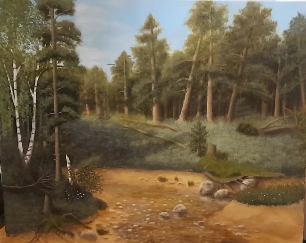 Quiet Forest Stream
