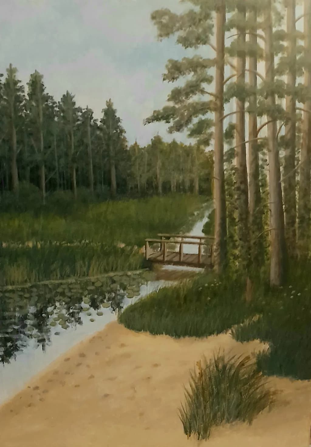 Woodland Stream Crossing
