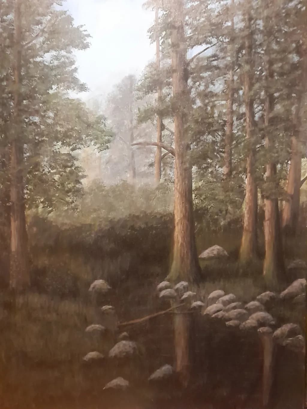 Forest Reflection