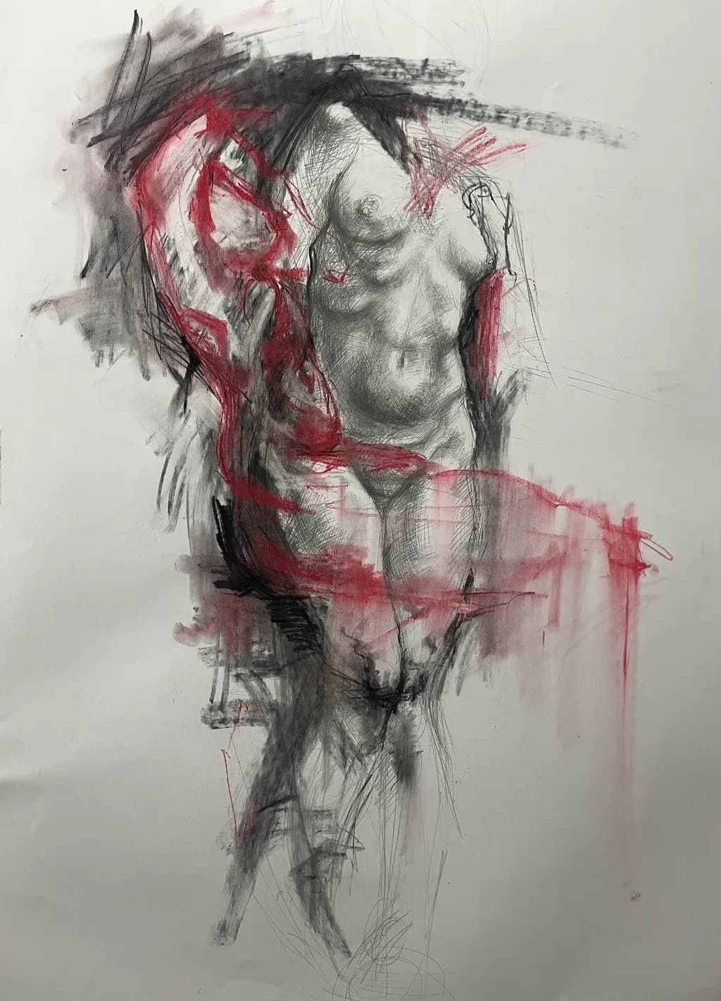 Crimson Contours