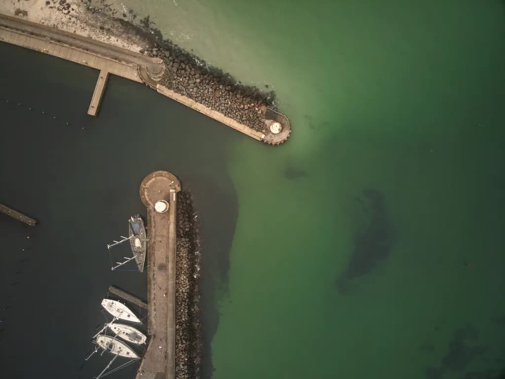 Harbor Divide