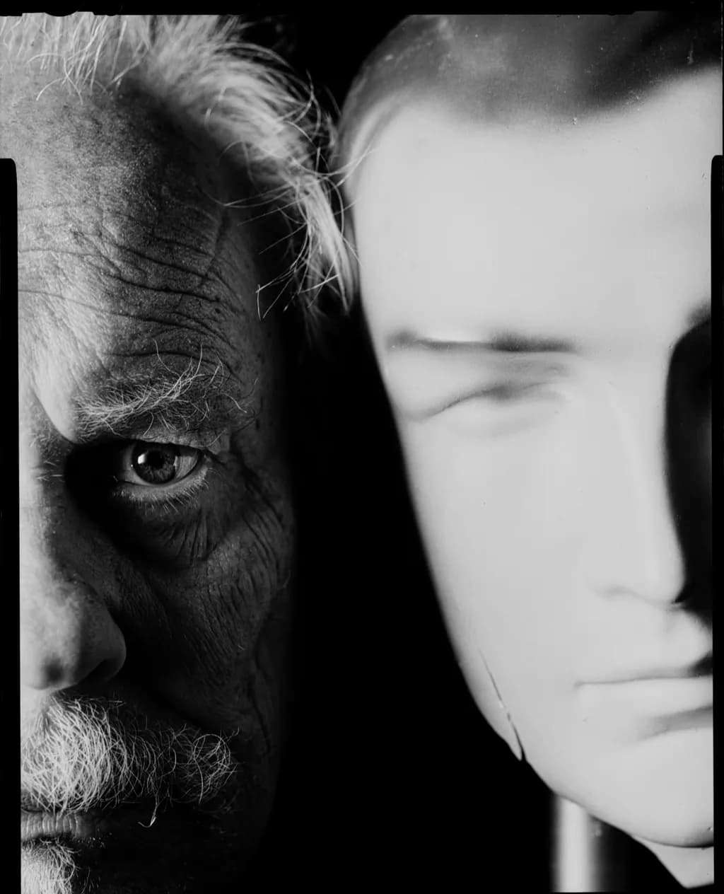 Neo Contrast Portrait