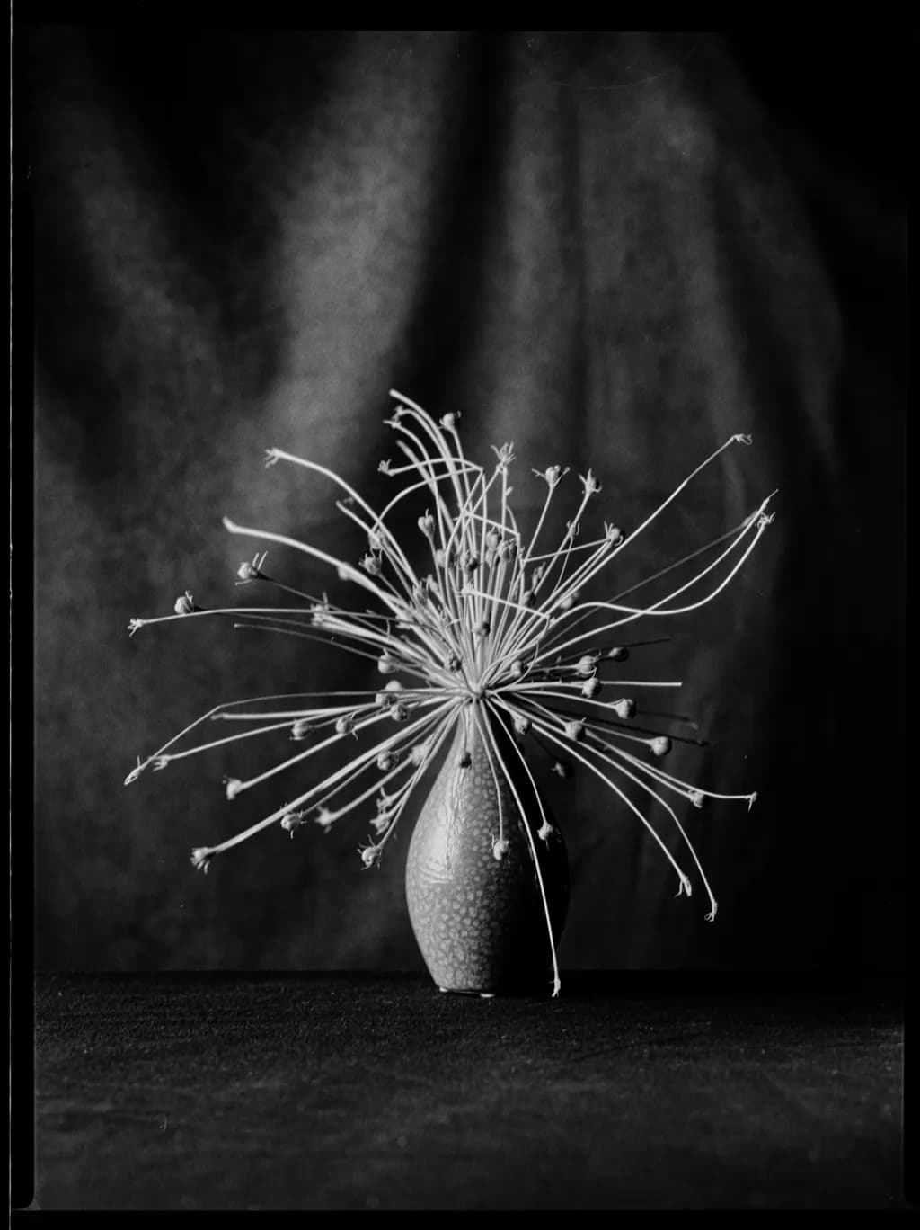 Explosive Vase Silence