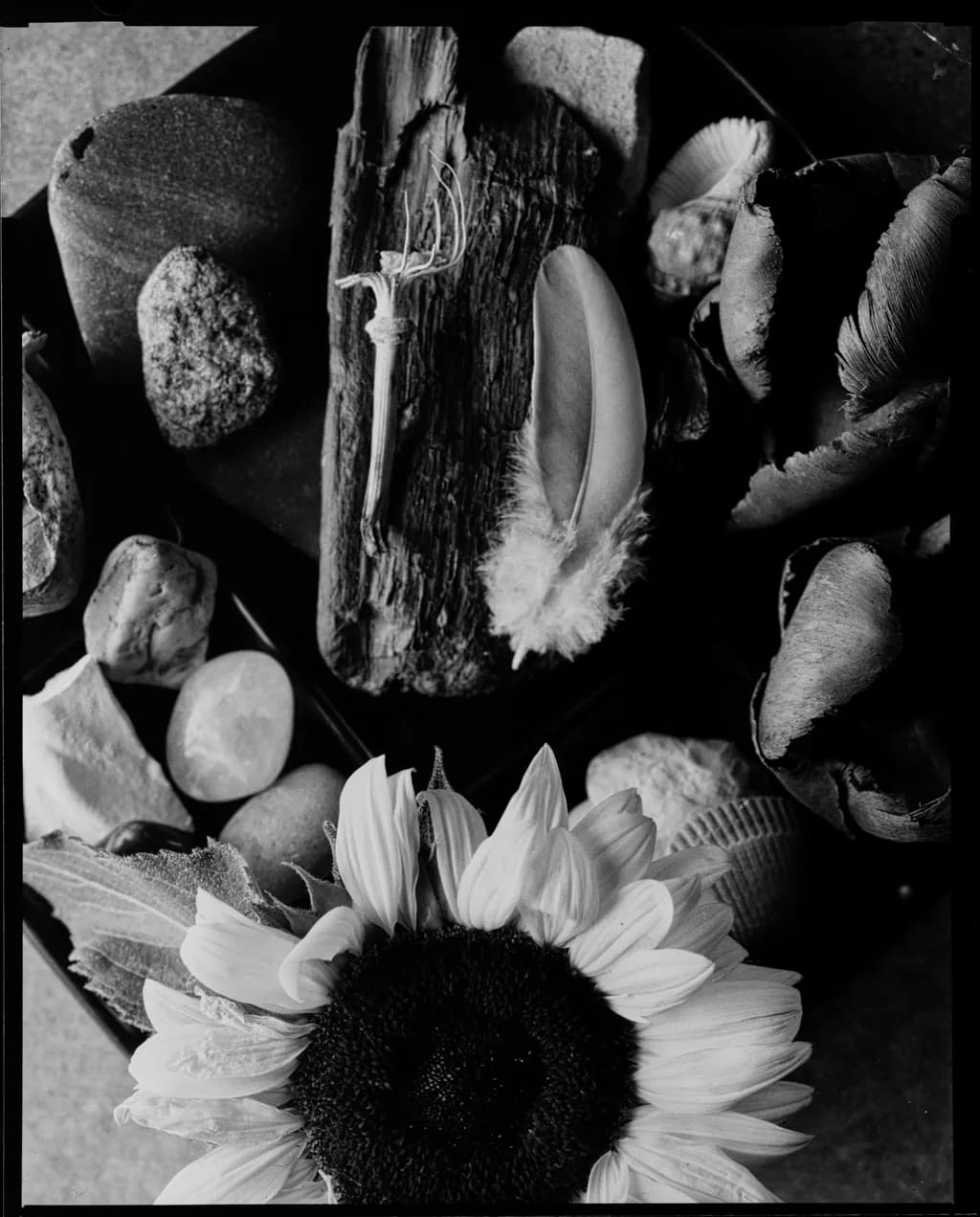 The Archive of the Ephemeral