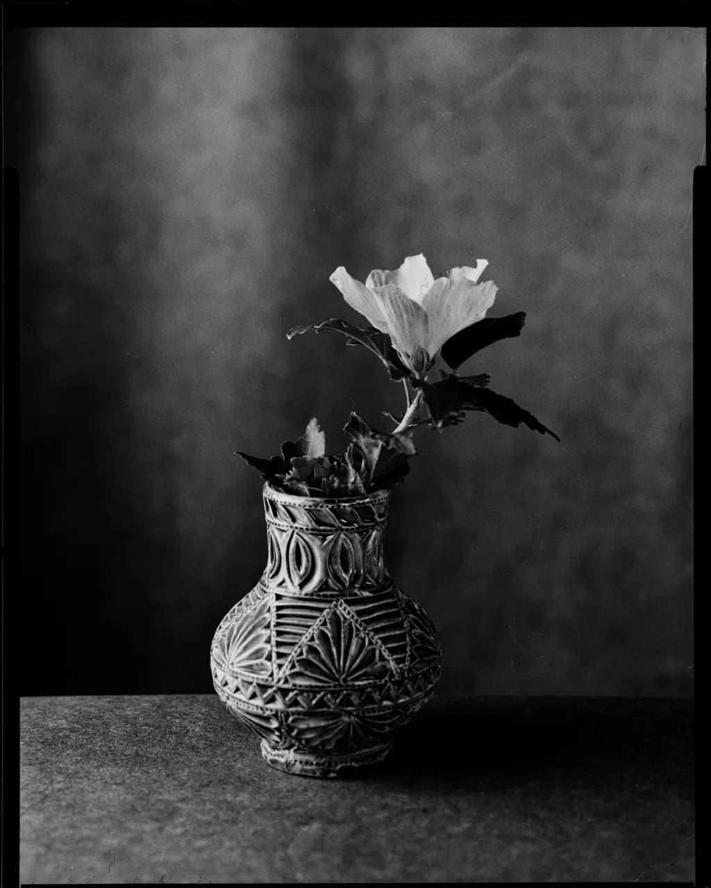 The Moment of Transience