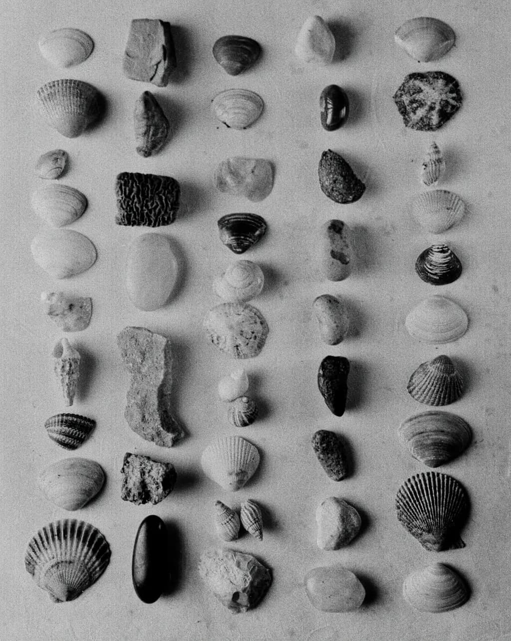 The Order of the Tides