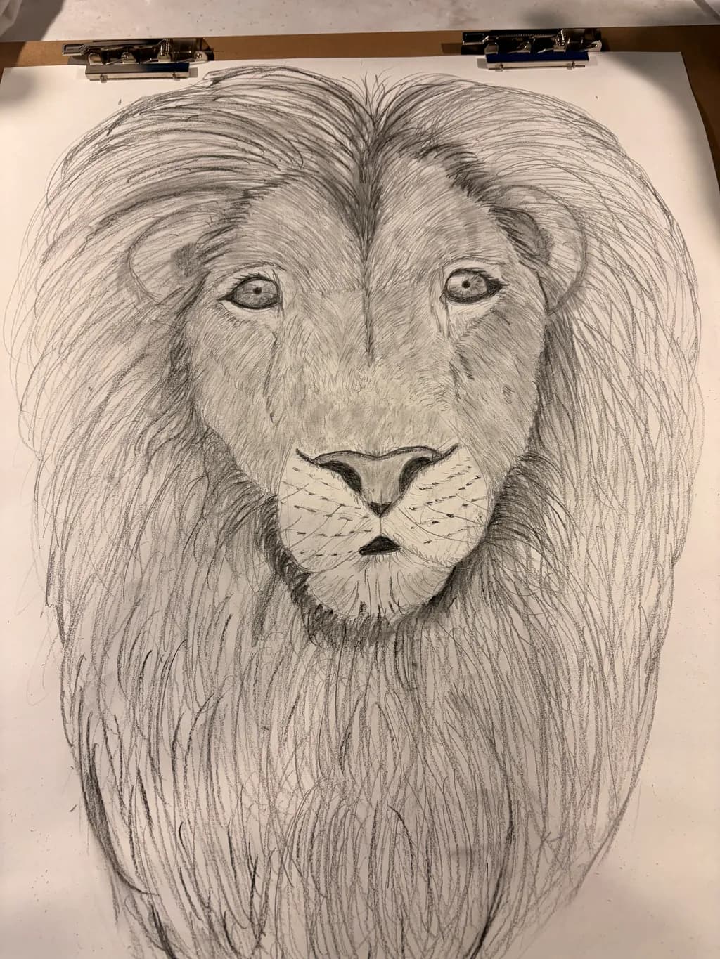 Majestic Gaze