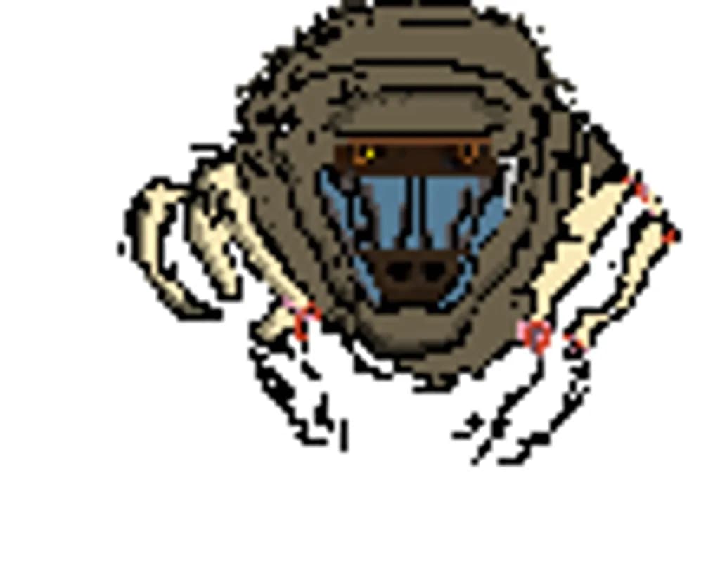 Baboon Portrait