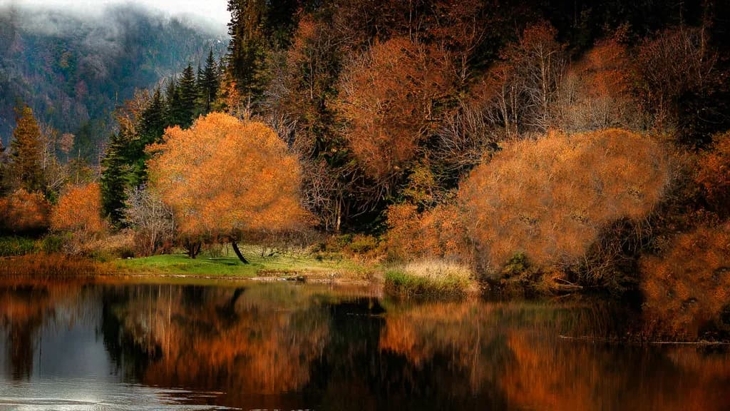 Loon Lake in Fall
