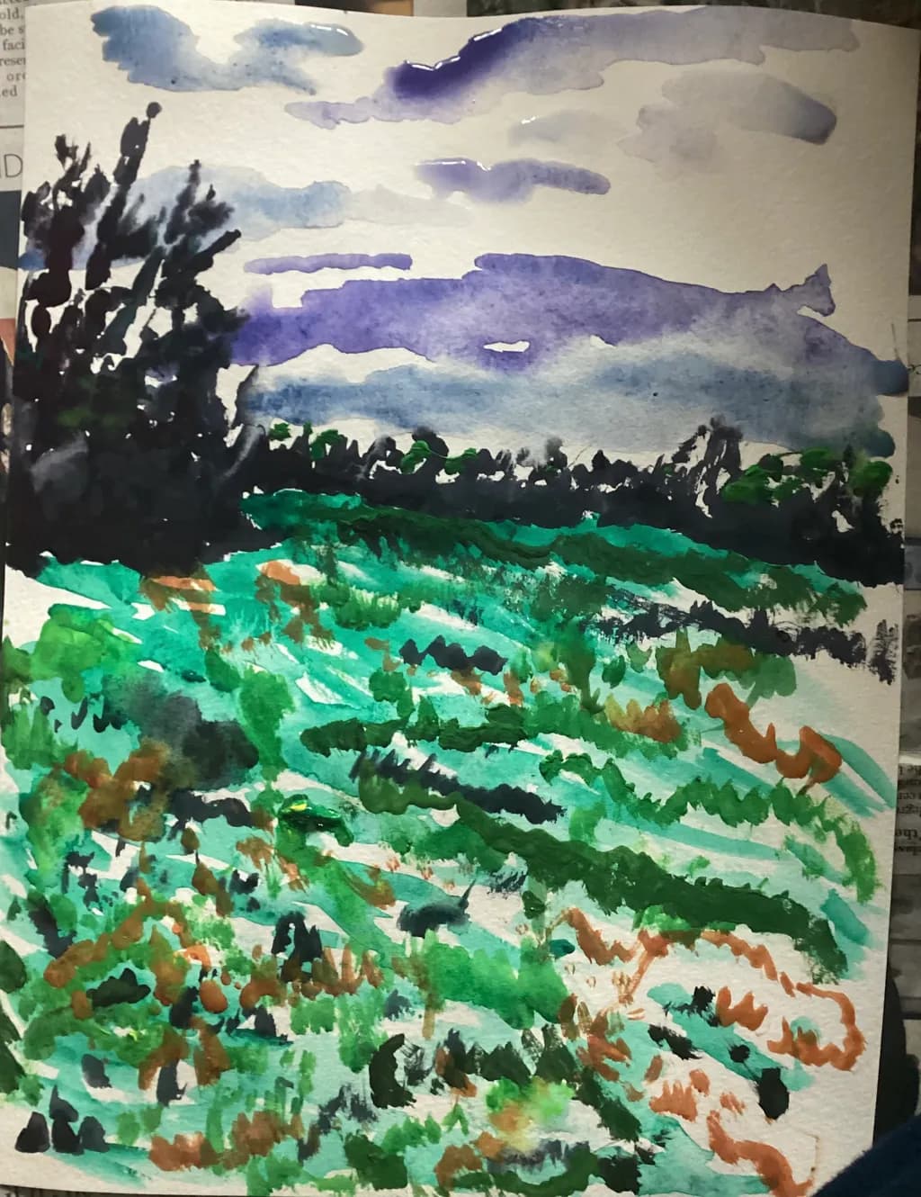 Green Field Landscape