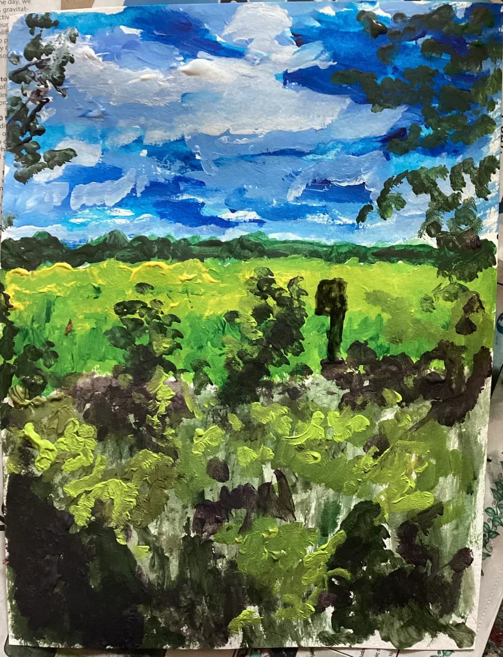 Field Under Expansive Sky