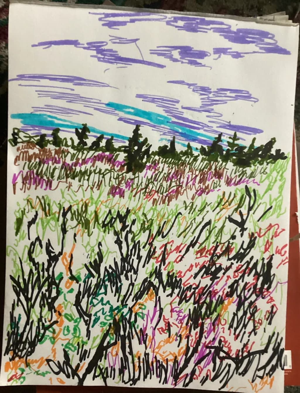 Colorful Meadow Sky