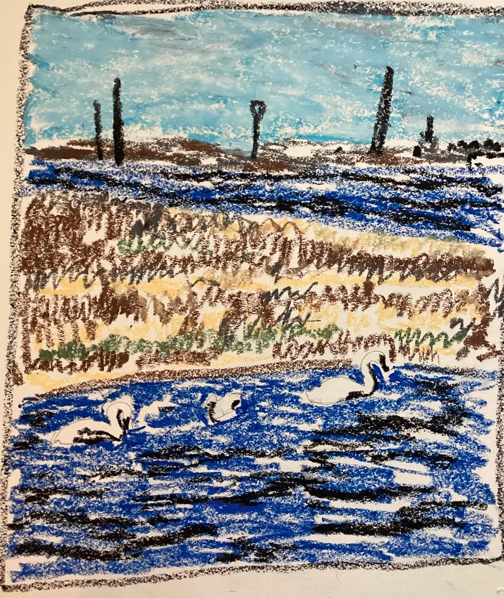 Swans by the Shore