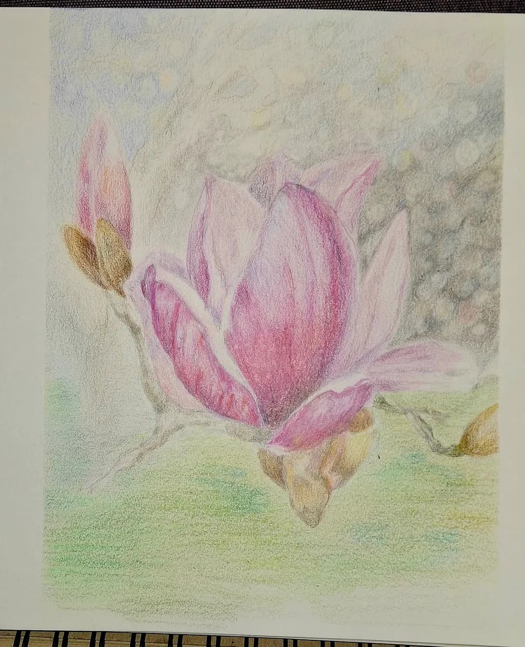 Blossoming Magnolia