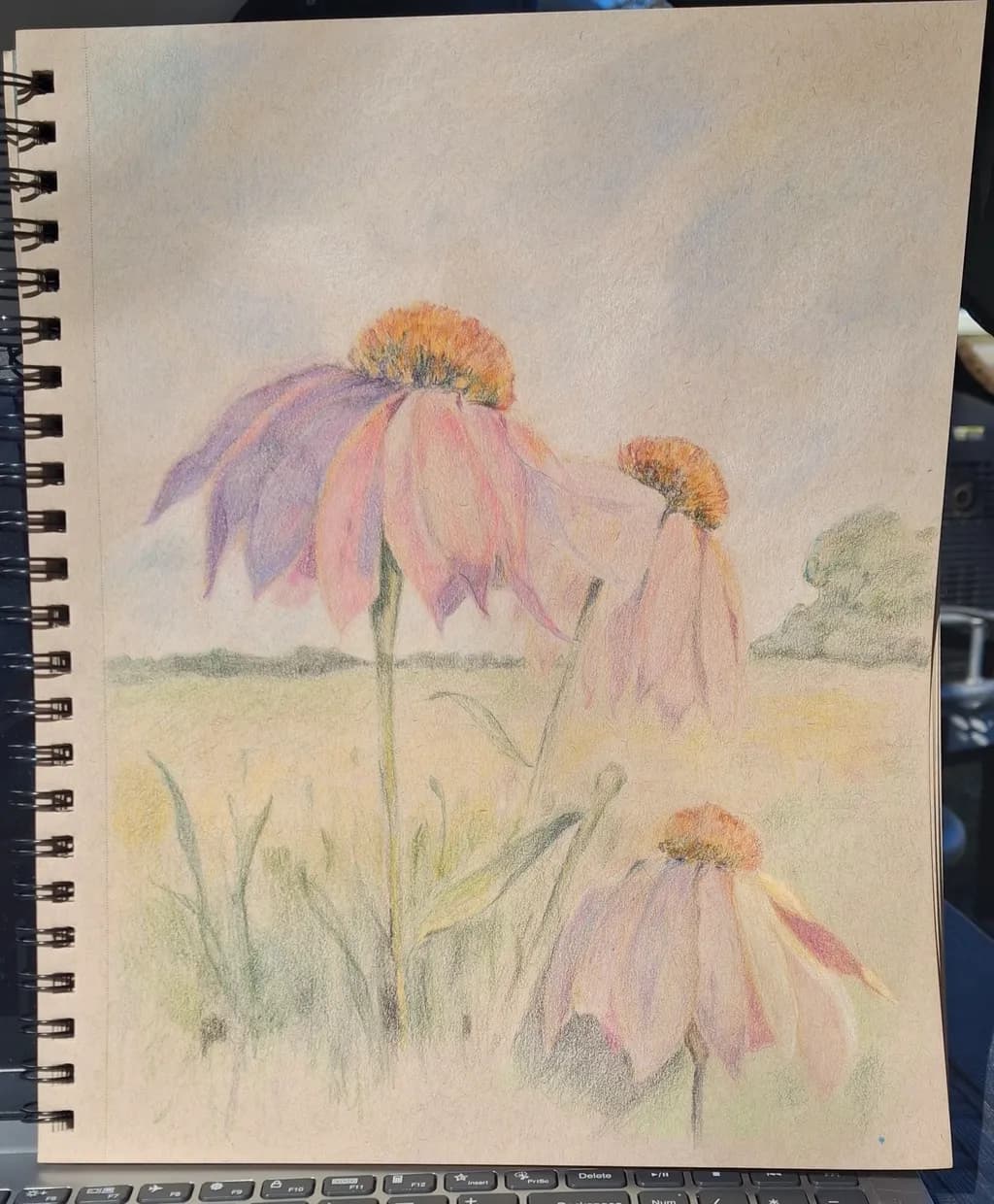 Fading Blooms
