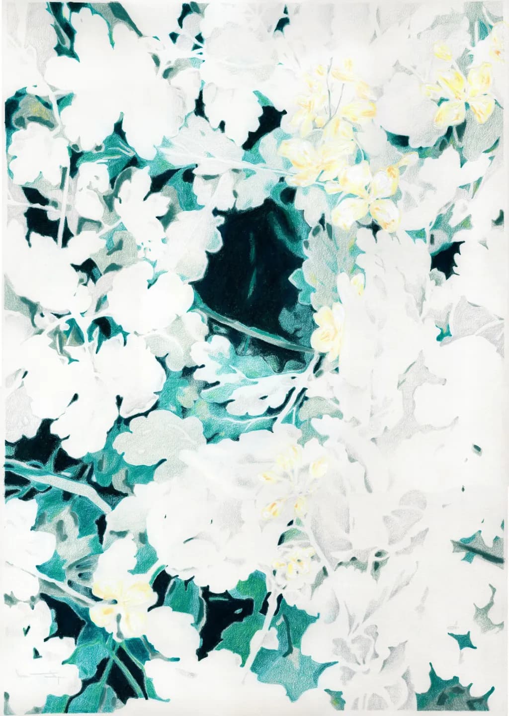 White Blossoms and Leaves