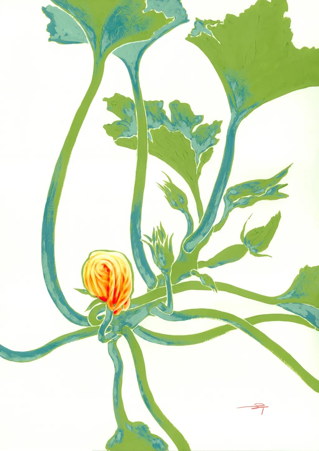 Growth Plant Study