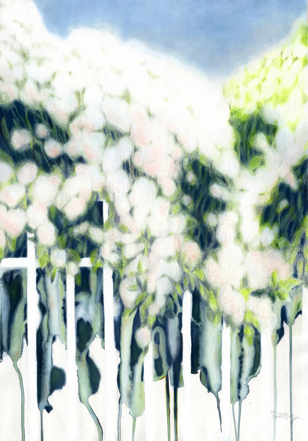 Time to Bloom