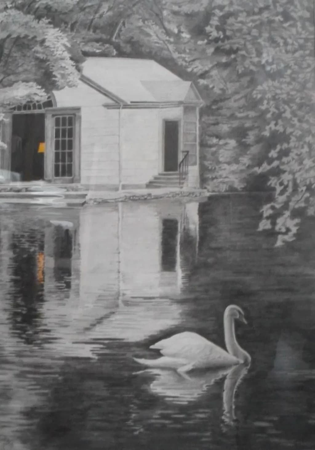 Reflections in Gray