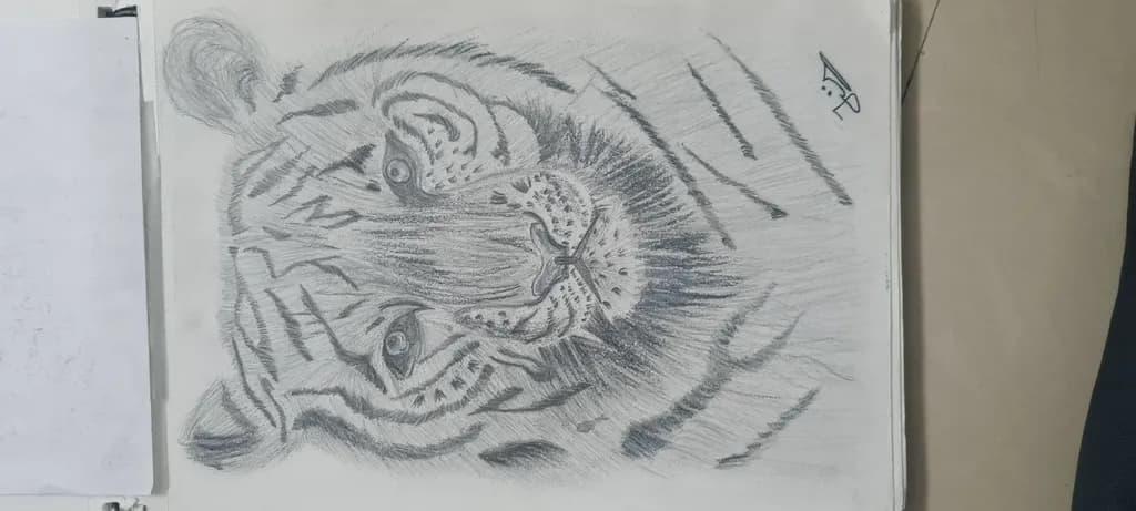 Tiger 🐯 