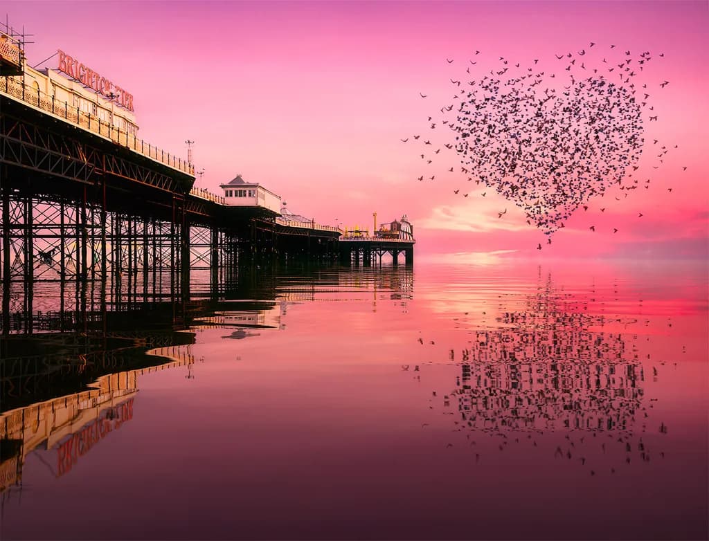 Love Heart Murmuration