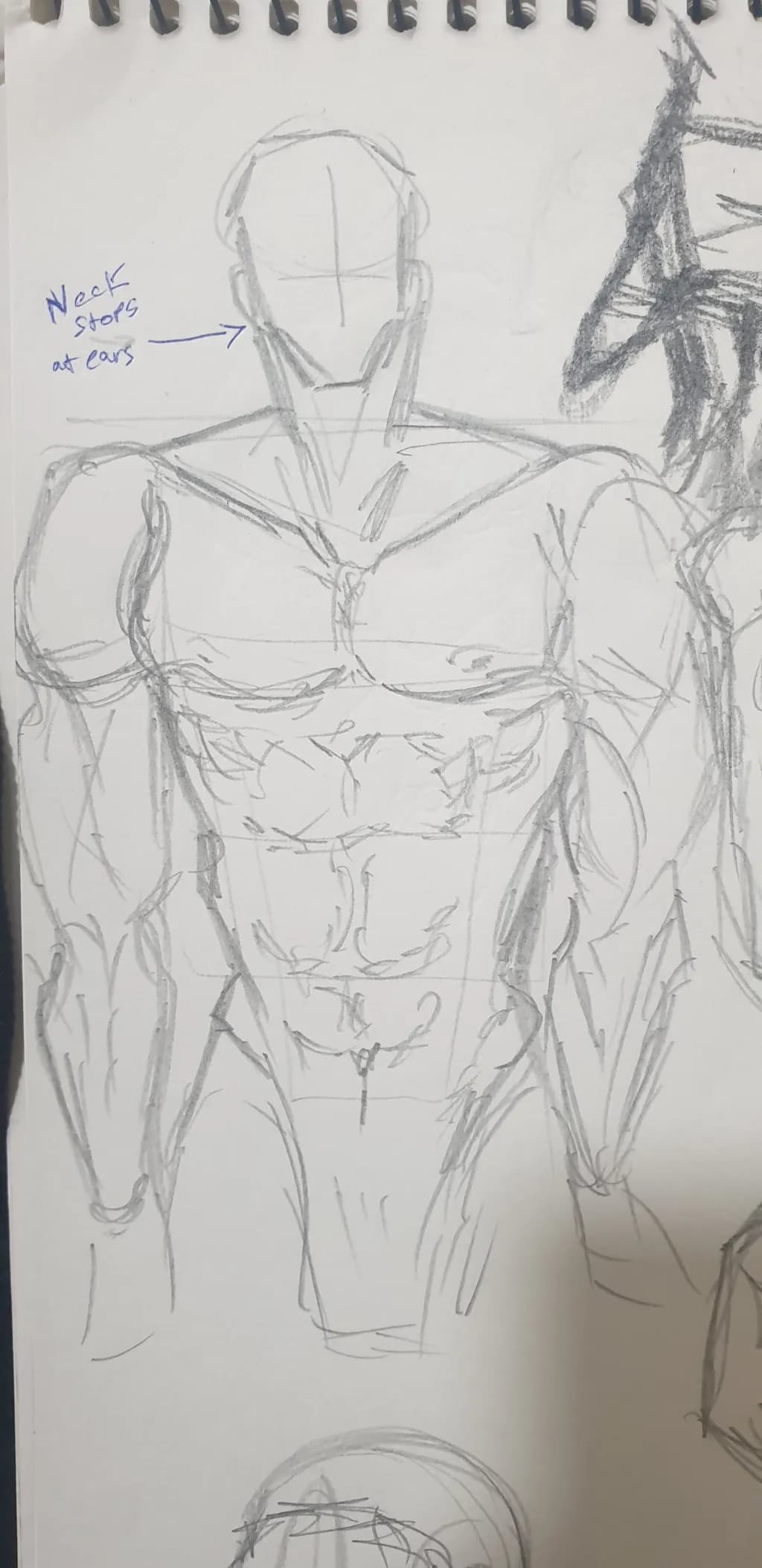 Anatomy Study