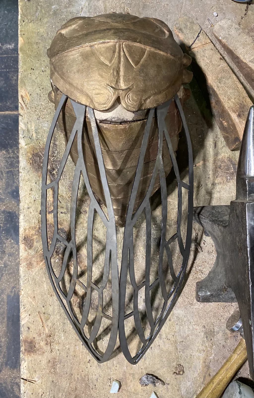 Cicada Fusion