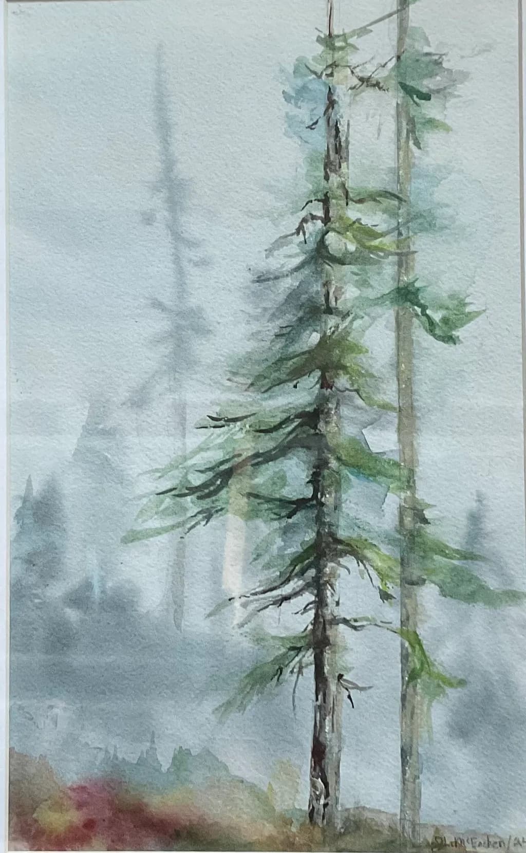 Mist in the Forest