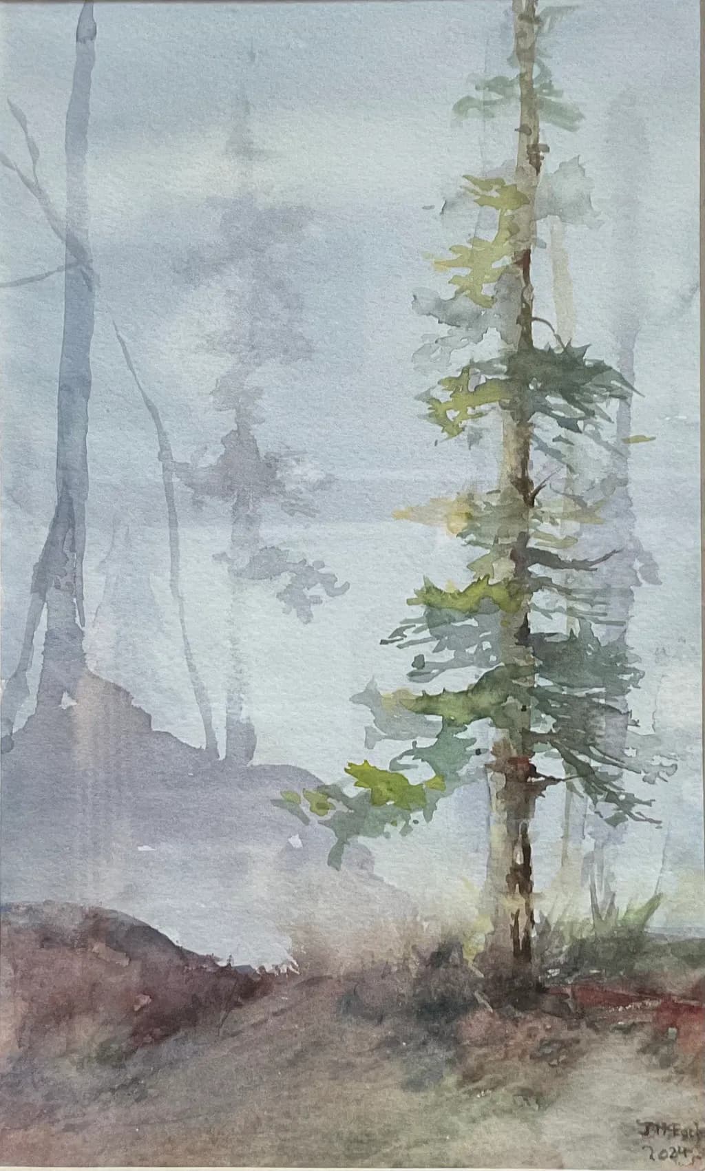 Misty Forest Tree