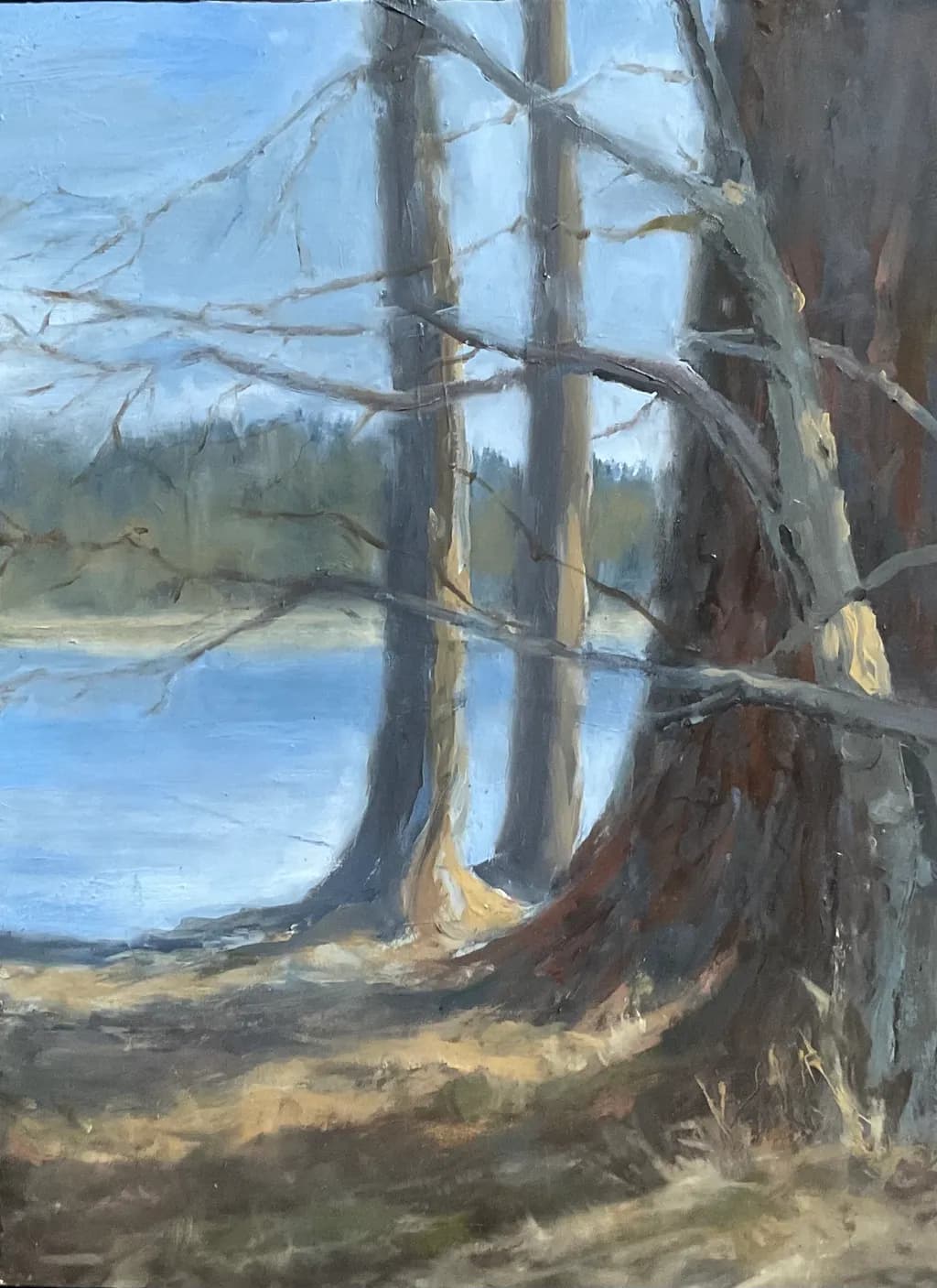 Riverbank Trees