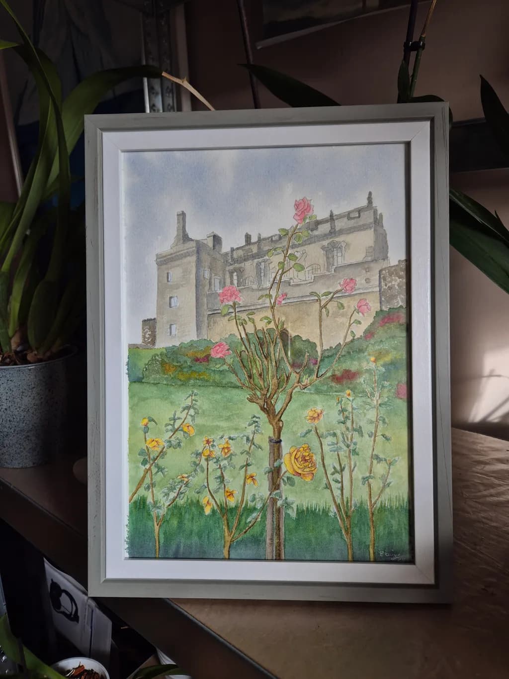 Castle Garden Blooms