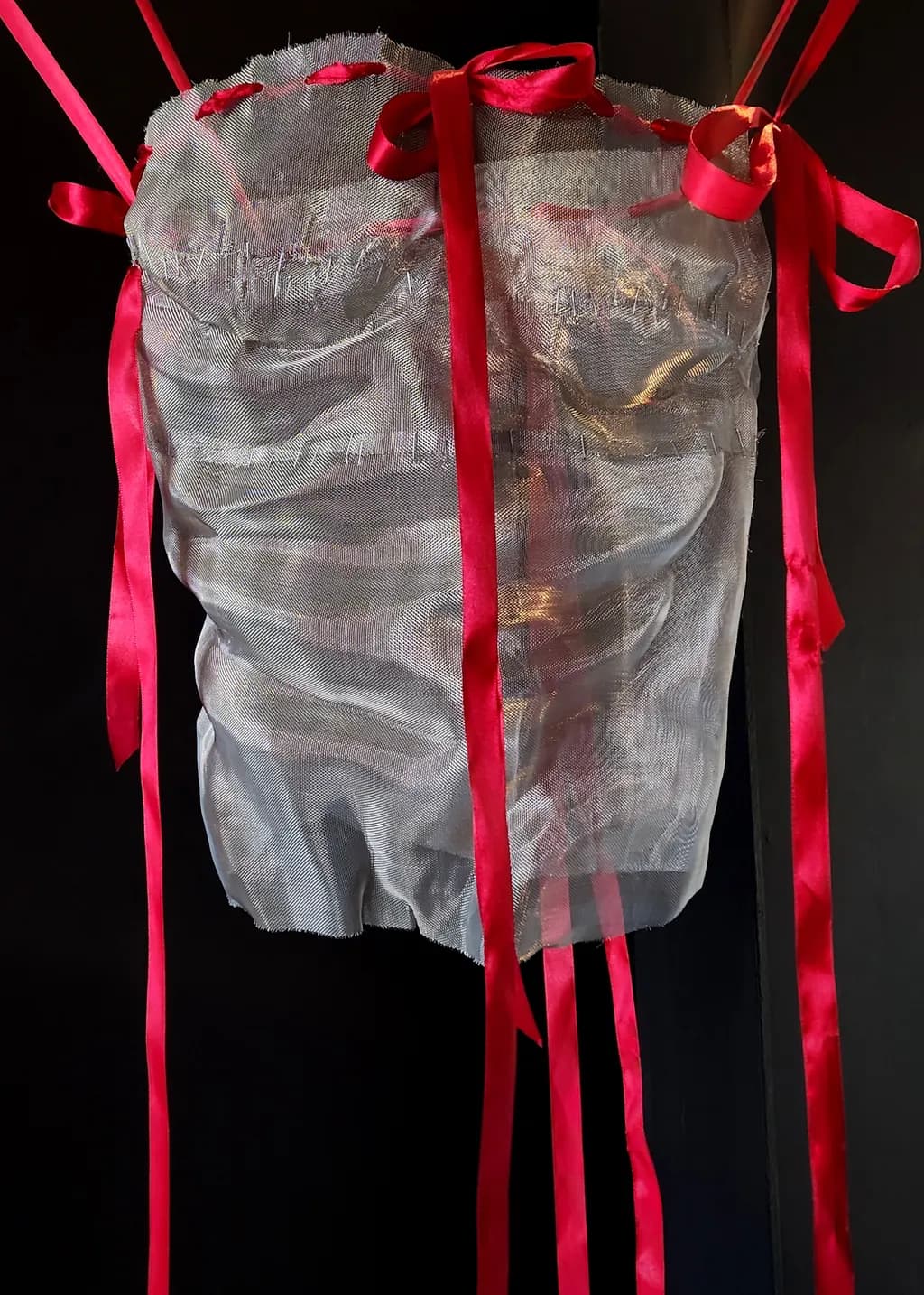 Silver Mesh Bodice