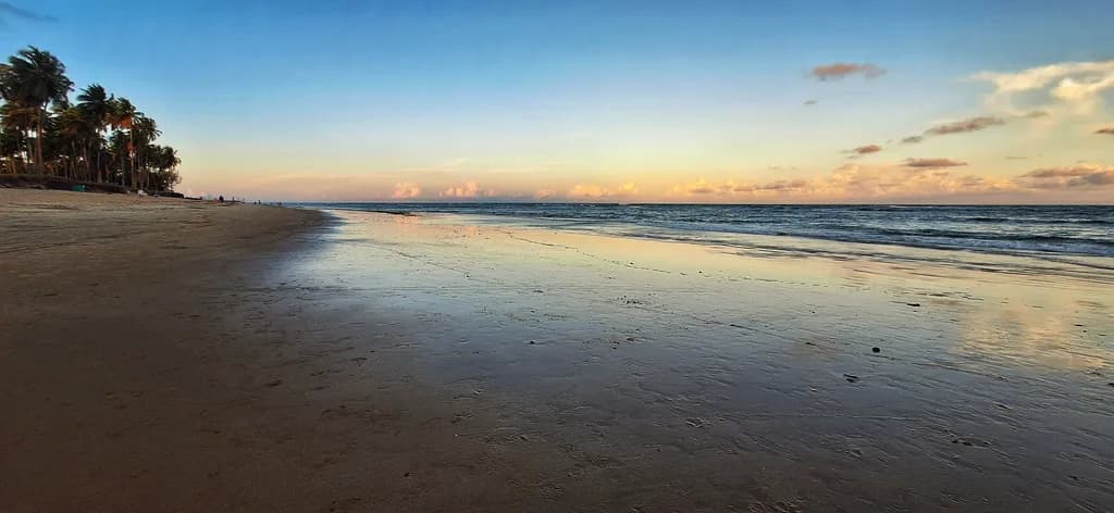 Sunset Shoreline