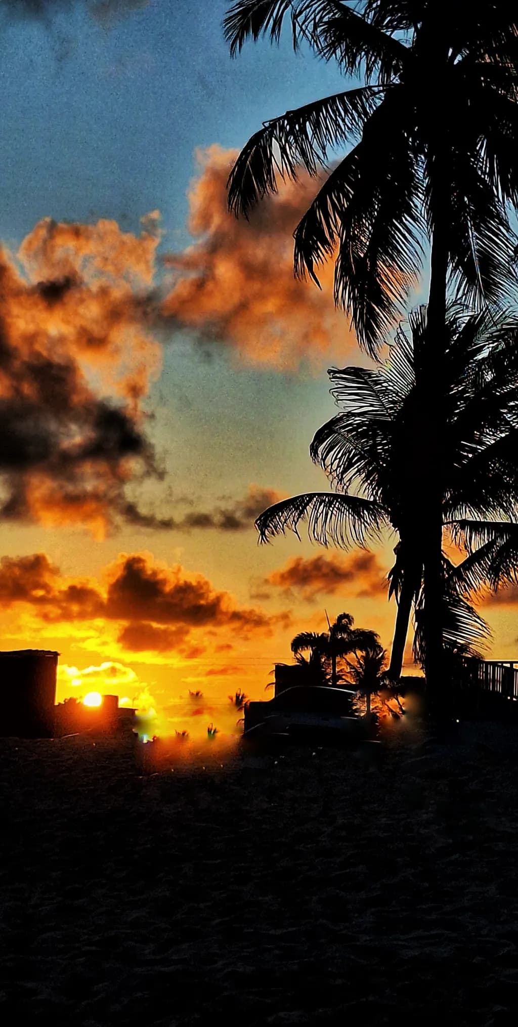 Tropical Dusk